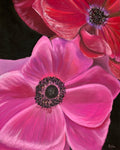 Anemone