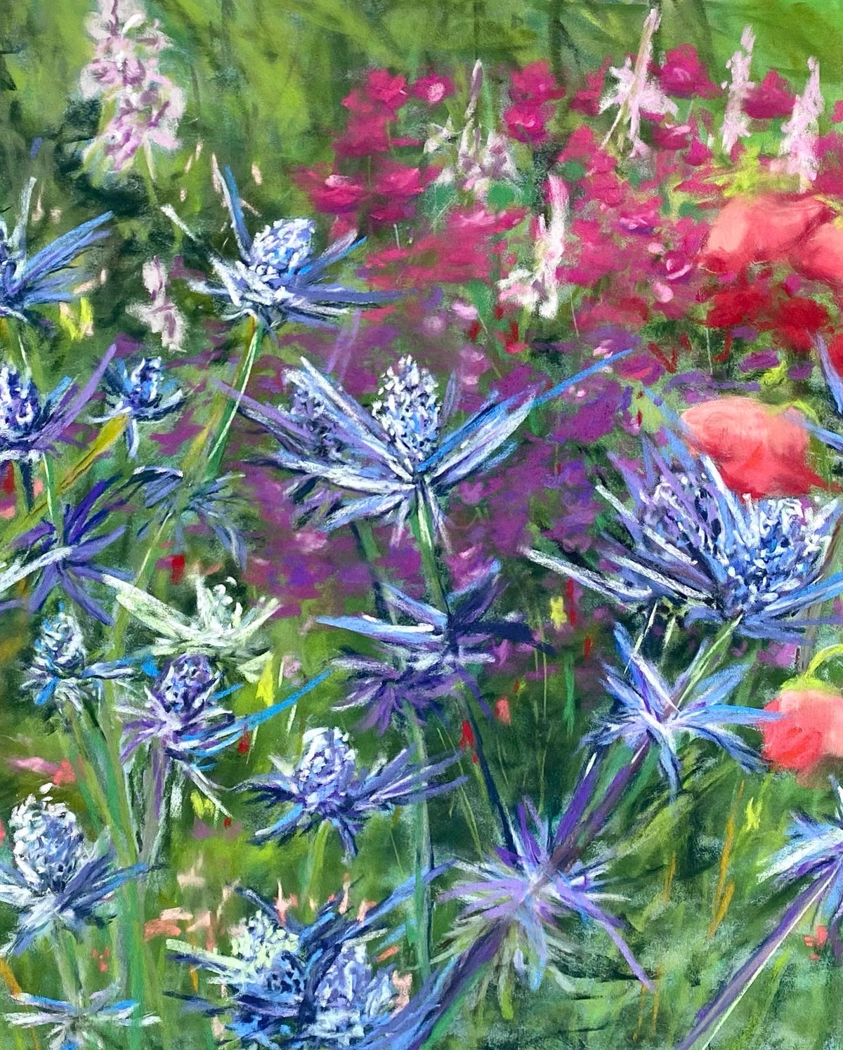 Blue wildflower field