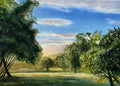 Cotswold Downs 1
