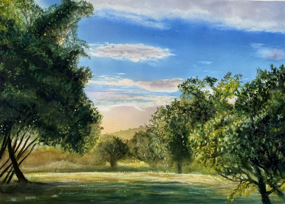 Cotswold Downs 1