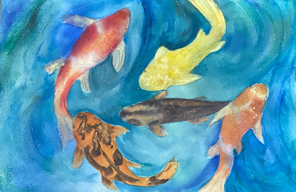 Koi 1