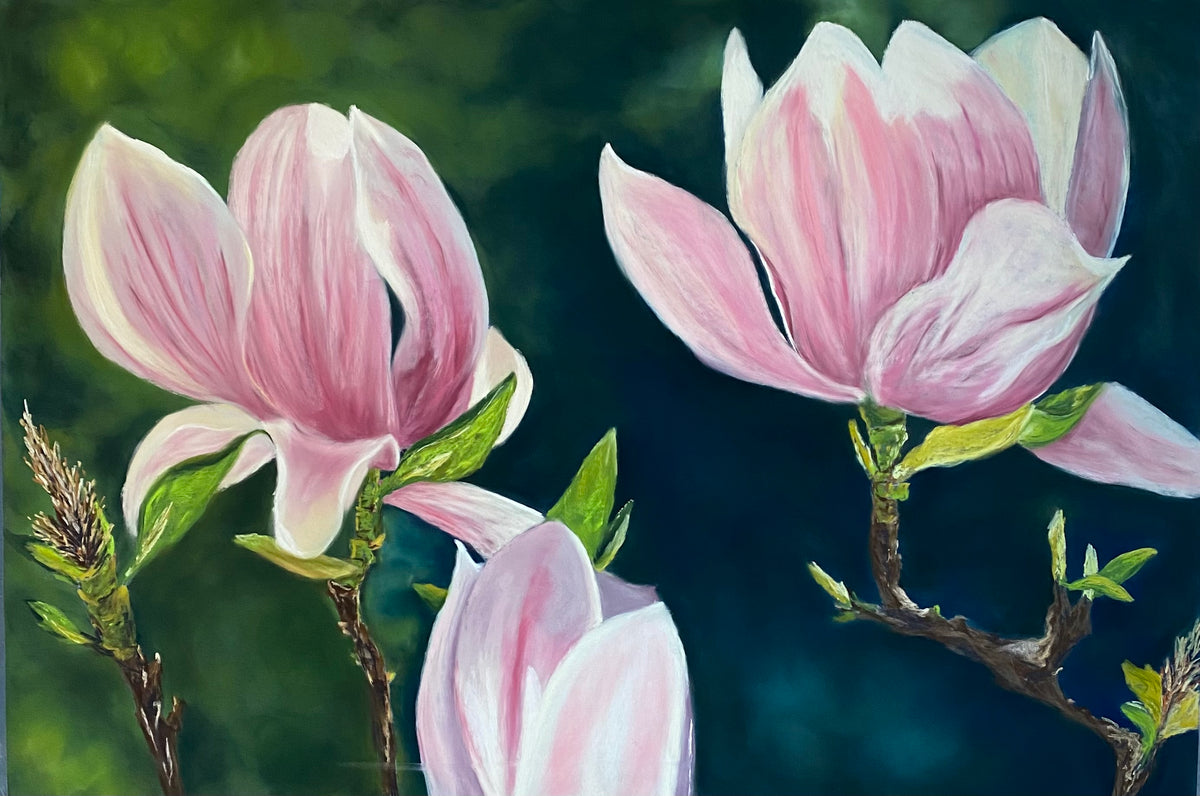 Magnolias