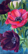 Pink and purple anemone