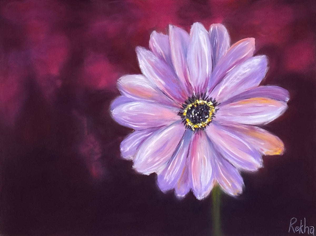 Pink daisy