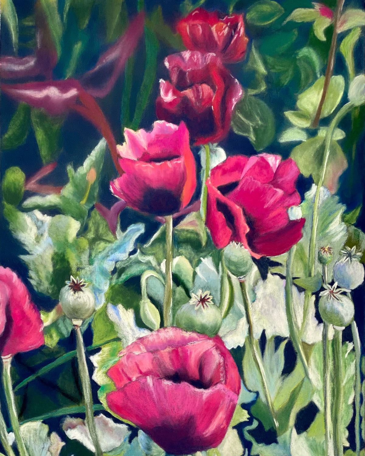 Pink poppies