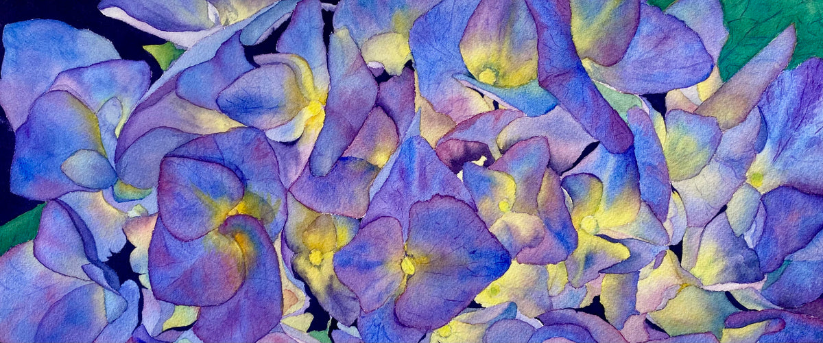 Purple hydrangeas