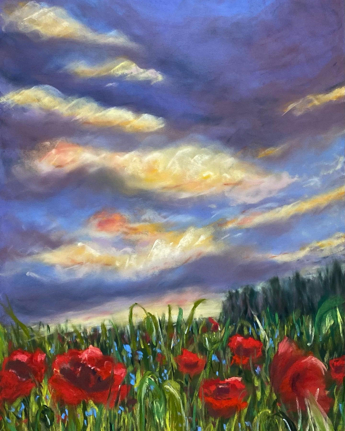Red poppy field