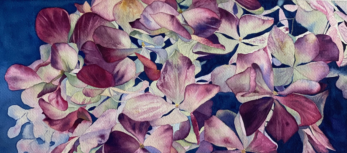 Rose of ultramarine hydrangeas