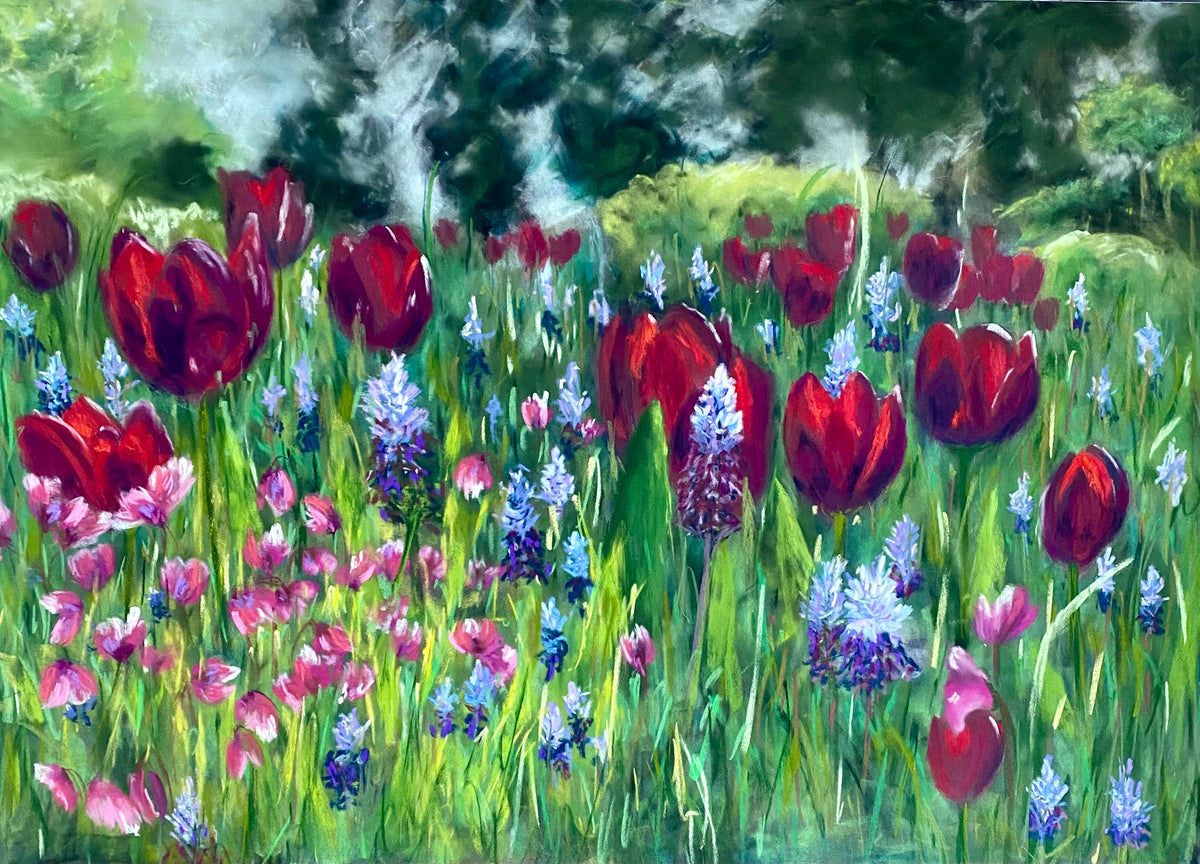 Tulip field