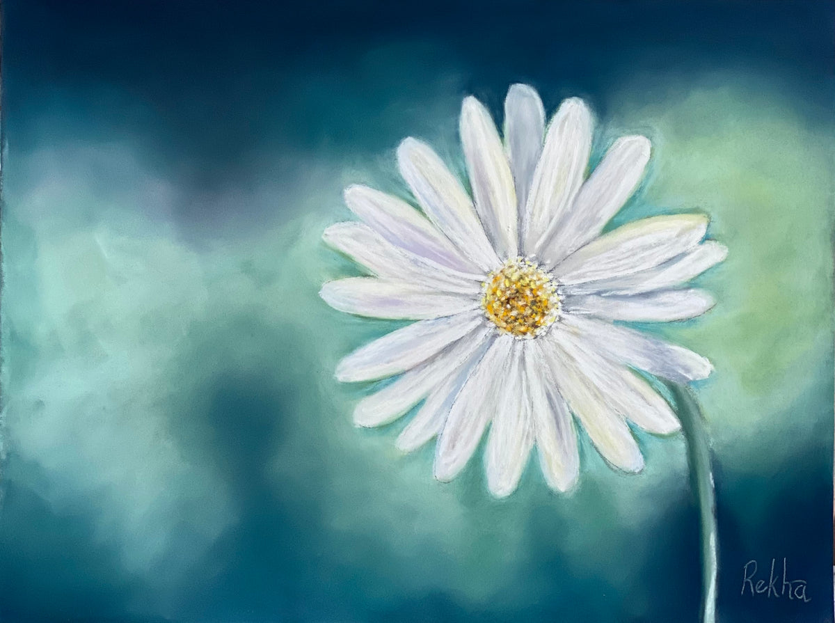 White daisy